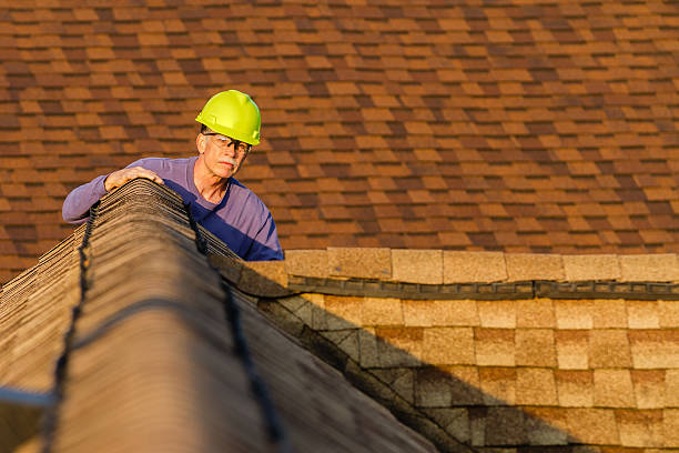 Best Roof Gutter Cleaning  in Centerville, SC